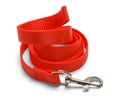 Curled Red Dog Leash Royalty Free Stock Photo