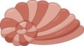 curled spiral cartoon shell in a fold Royalty Free Stock Photo