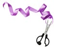 Curled violet silk ribbon and scissors