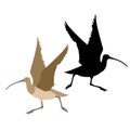 Curlew bird black silhouette vector illustration flat style profile