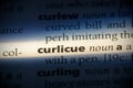 Curlicue