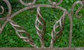 Curlicues on a wrought-iron Park bench. Garden furniture bench