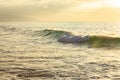 Curling wave forming with foming break and backwash, translucent yellow and green on ocean expanse Royalty Free Stock Photo