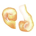 Curls of lemon skin. Citrus peel curls. Watercolor illustration. Isolated on a white background. For your design