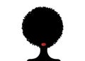 Portrait African Women , dark skin female face with hair afro and ethnic traditional curly, isolated , hair style concept