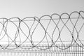 Curly barbed wire in black and white