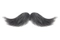 Curly black with grey moustache isolated on white