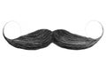 Curly black mustache isolated on white Royalty Free Stock Photo