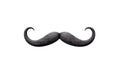 Curly black mustache isolated on a white background. Royalty Free Stock Photo