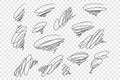 Curly black scrawls vector illustrations set Royalty Free Stock Photo