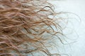 Curly blond hair background 3