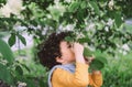 Curly boy sniffing bird cherry tree blossom. Royalty Free Stock Photo