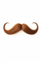 Curly brown mustache isolated on a white background Royalty Free Stock Photo