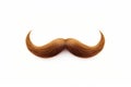 Curly brown mustache isolated on a white background Royalty Free Stock Photo