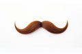 Curly brown mustache isolated on a white background Royalty Free Stock Photo