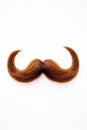 Curly brown mustache isolated on a white background Royalty Free Stock Photo