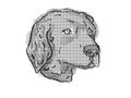 Curly-Coated Retriever Dog Breed Cartoon Retro Drawing Royalty Free Stock Photo