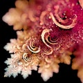 Curly Fractal Royalty Free Stock Photo