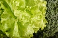 Curly fresh green lettuce salad leaves, Texture background, Close up