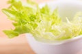 Curly green salad Royalty Free Stock Photo