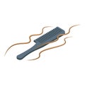 Curly hair comb icon isometric vector. Brush object Royalty Free Stock Photo