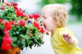 Curly hair toddler girl smelling red flowers Royalty Free Stock Photo