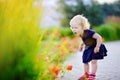 Curly hair toddler girl smelling red flowers Royalty Free Stock Photo