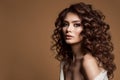 Curly Hair Woman. Beauty Hairstyle Girl over Dark Brown Background. Brunette Model with Smokey Eyes Make up looking at Camera Royalty Free Stock Photo