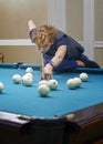 Curly-haired girl plays Billiards, performs a difficult blow. Curly-haired girl plays Billiards, performs a difficult blow.