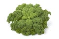 Curly kale Royalty Free Stock Photo