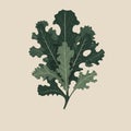 Curly kale, dark green leaf vegetable. Nature organic vegetable Kale