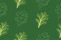 Curly kale, dark green leafy vegetable. Leaf cabbage vector illustration. Green leafy vegetables seamless. Healthy diet