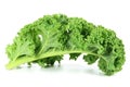 Curly kale Royalty Free Stock Photo