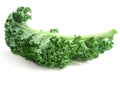 Curly kale leaves Royalty Free Stock Photo