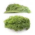 Curly kale leaves Royalty Free Stock Photo