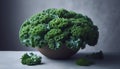 A curly kale microgreens bunch, Ai generated image Royalty Free Stock Photo