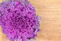 Curly-leaf purple kale closeup texture