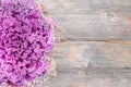 Curly-leaf purple kale on a rustic wooden board Royalty Free Stock Photo