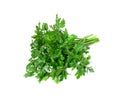 Curly Parsley Leaves Isolated Royalty Free Stock Photo