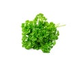 Curly Parsley Leaves Isolated Royalty Free Stock Photo