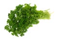 Curly parsley on a white background