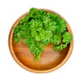 Curly parsley, fresh curly leaf parsley, in a wooden bowl