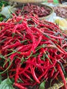 Curly Red Chili Royalty Free Stock Photo