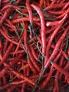 Curly red chili for sauce Royalty Free Stock Photo