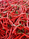 Curly red chilies have a higher level of spiciness than large red chilies