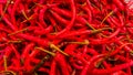 Curly red chilies are sold in traditional markets Royalty Free Stock Photo