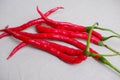 curly red chilies on white background