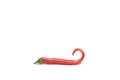 Curly red chilli pepper on white background