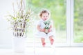 Curly toddler girl in white dress first spring flowers Royalty Free Stock Photo