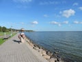 Curonian lagoon shore, Lithuania Royalty Free Stock Photo